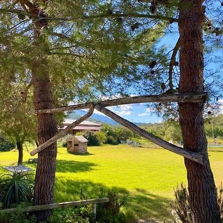 Agriturismo Su Niu Uta Εξωτερικό φωτογραφία