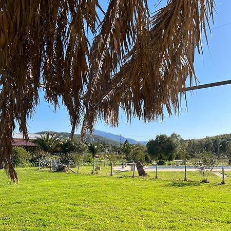 Agriturismo Su Niu Uta Εξωτερικό φωτογραφία