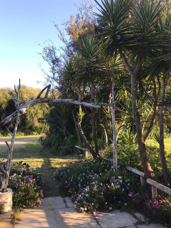 Agriturismo Su Niu Uta Εξωτερικό φωτογραφία